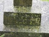 image of grave number 797220
